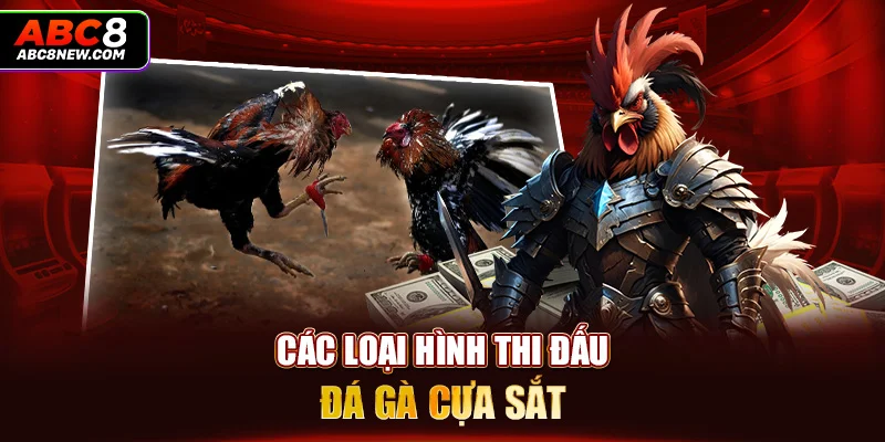 Các loại hình thi đấu đá gà cựa sắt