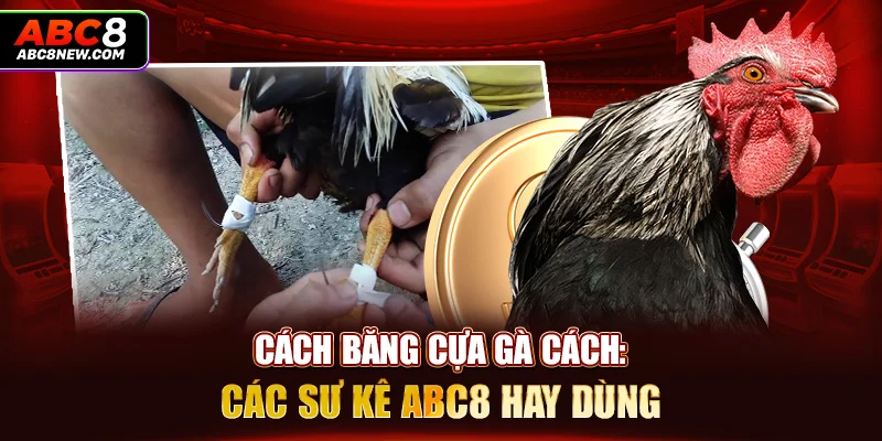 Cách Băng Cựa Gà Cách: Các Sư Kê ABC8 Hay Dùng