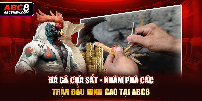 Đá Gà Cựa Sắt - Khám Phá Các Trận Đấu Đỉnh Cao Tại ABC8