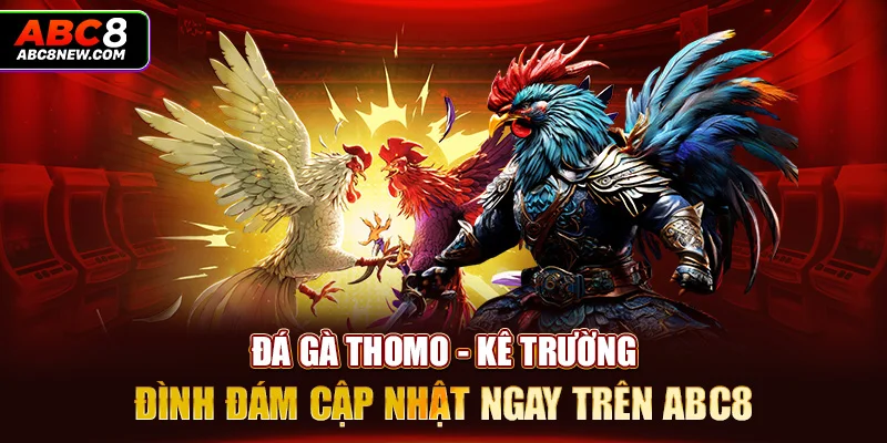 Đá Gà Thomo - Kê Trường Đình Đám Cập Nhật Ngay Trên ABC8