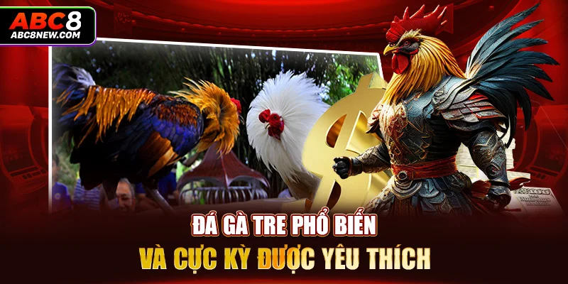 Đá gà tre phổ biến và cực kỳ được yêu thích