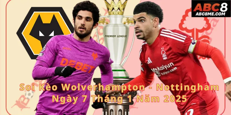 Nhận định soi kèo Wolverhampton - Nottingham ngày 7 tháng 1 năm 2025